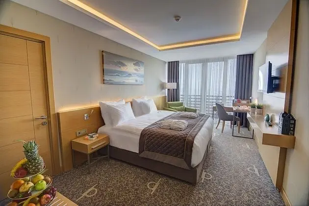 Ramada By Wyndham Bursa Çekirge Thermal & Spa - 1