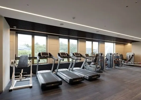 Ramada Plaza by Wyndham Chungjang - Fitness