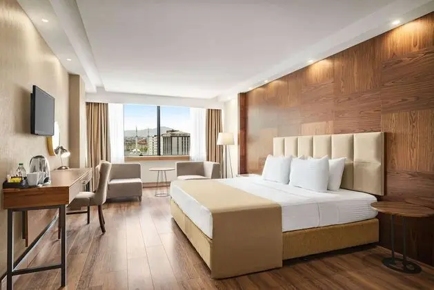 Ramada Plaza by Wyndham Samsun - Oda