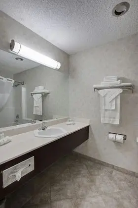 Ramada by Wyndham Nisku Edmonton Airport - Banyo Özellikleri