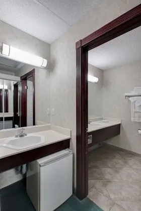 Ramada by Wyndham Nisku Edmonton Airport - Banyo Tipleri