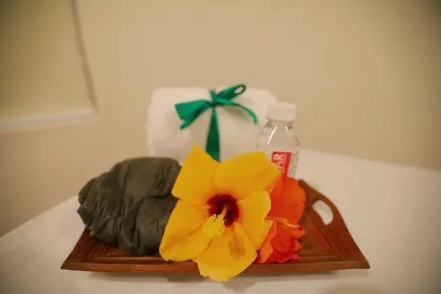 Ramee Royal Resort & Spa Udaipur - Spa