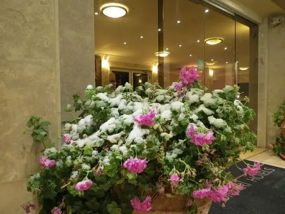 Ramon Suites Hotel - Lobi