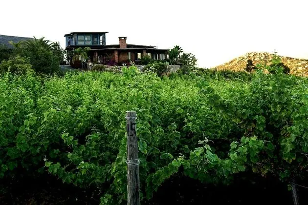 Rancho Cienpiedras