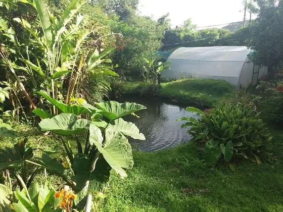 Rancho de Lelo Ecolodge & Sustainable Farm - Dış Mekan
