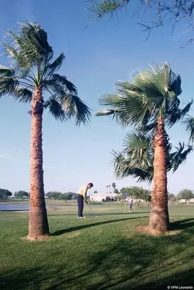 Rancho Viejo Resort & CC - 1