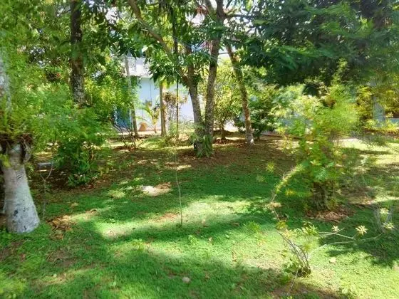 Randi Guest House - Mirissa Beach - İç Mekan