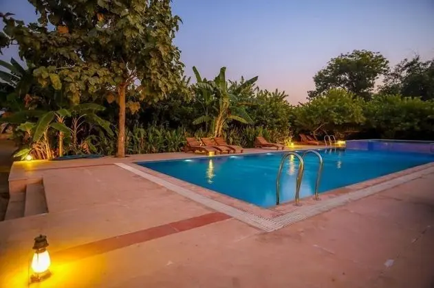 Ranthambore Tiger Inn Comfort Resort - Havuz