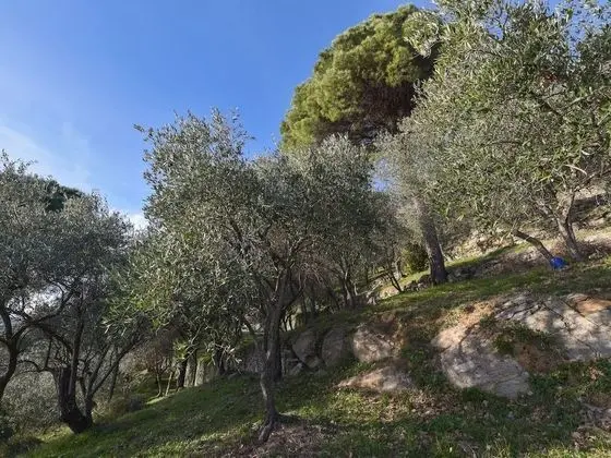 Villa in Rapallo With Terrace, Garden, Veranda, Barbecue - Dış Mekanlar