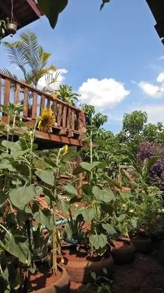 Ratanak Teprithea Home Stay - Dış Mekan