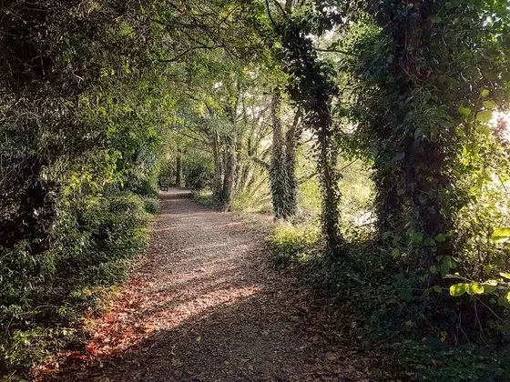 Rathescar Grove - Dış Mekan