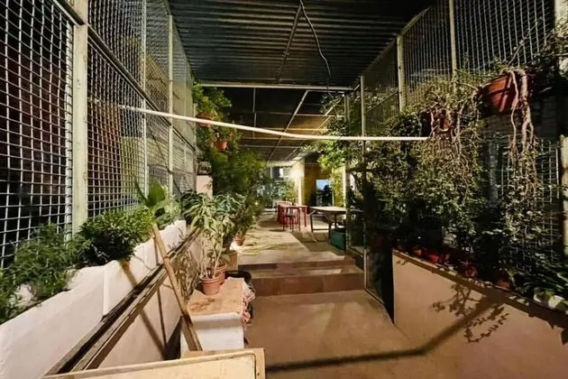 Ratnakar Bhawan - Heritage Homestay - Dış Mekanlar