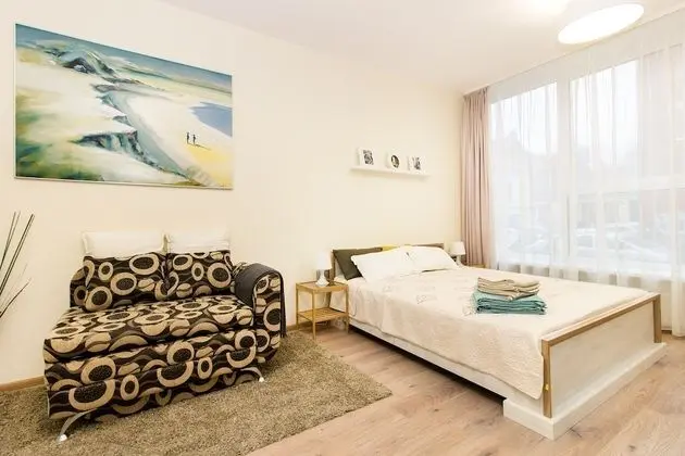 Raugyklos apartments - Oda