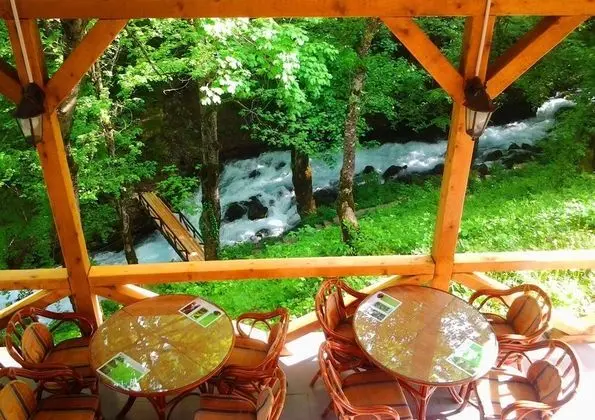 Ravnjak Hotel at Tara Springs Park - Yerinde Yemek