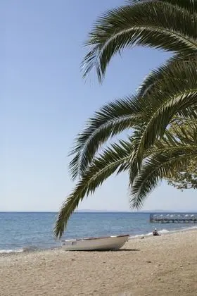 Rawda Resort Hotel Altinoluk - 10