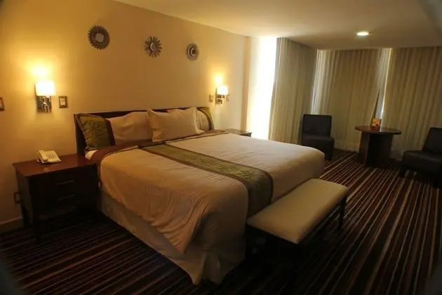 Hotel Real Plaza Aguascalientes - Oda