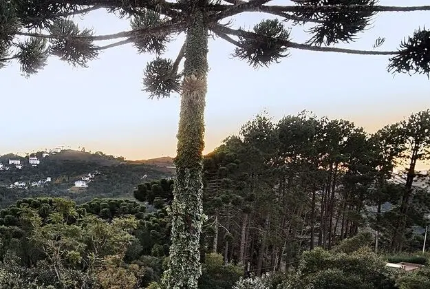 Recanto das Araucarias