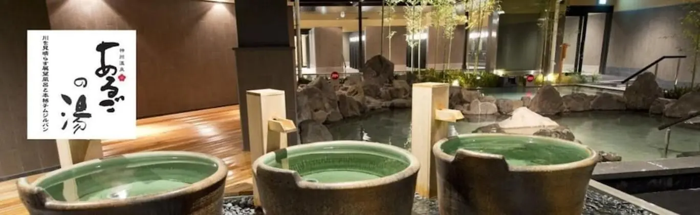 RECO Hotel Mikuni - Yerinde Yemek