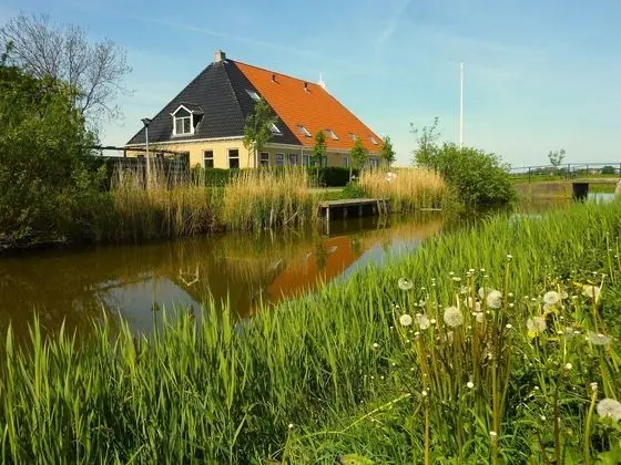 Recreational Farm Located in a Beautiful Area of Friesland - Dış Mekan