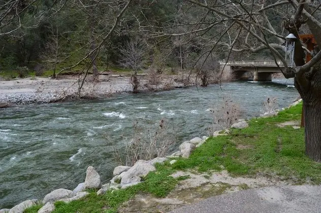 Red Bud Lodge - Dış Mekan