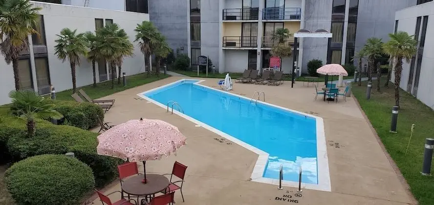 Red Carpet Inn - Havuz