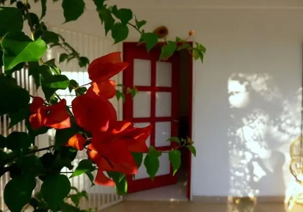 Red Door Apartments - Dış Mekan