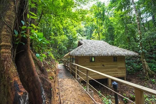 Red Frog Beach Resort