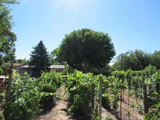 Red Horse Bed and Breakfast - Dış Mekan