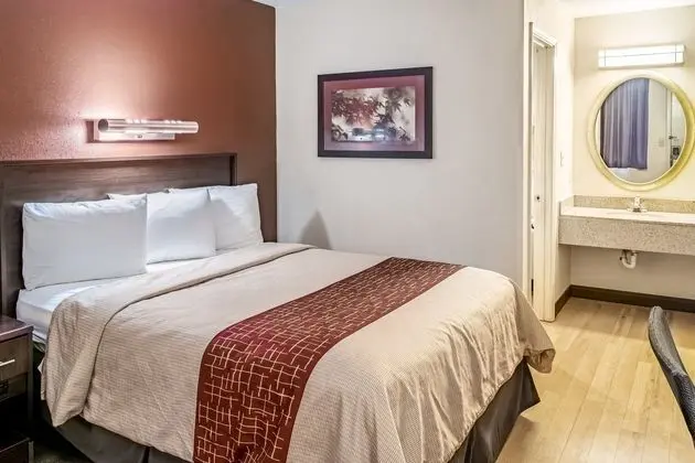 Red Roof Inn Columbus - Taylorsville - Oda