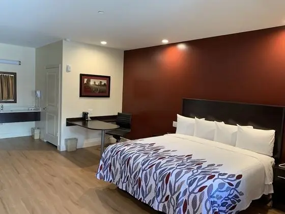 Red Roof Inn Houston - Willowbrook - Oda