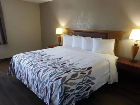Red Roof Inn New Stanton - Oda