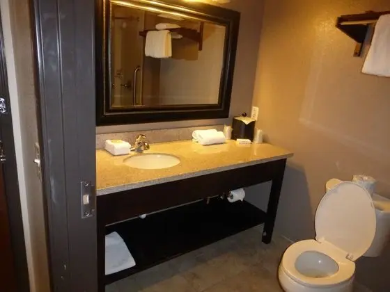 Red Roof Inn Pecos - Banyo Tipleri