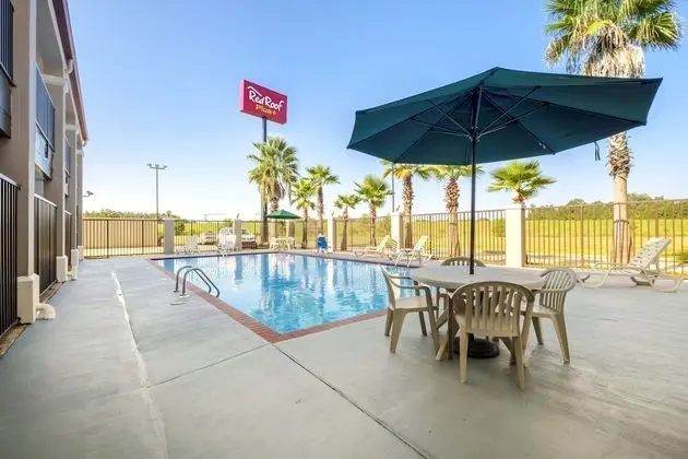 Red Roof Inn PLUS+ Hammond - Havuz
