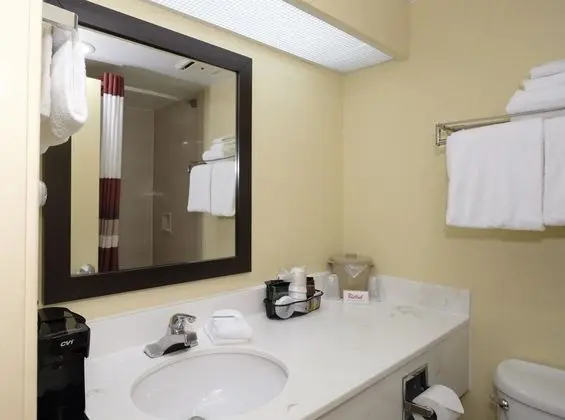 Red Roof Inn Washington DC - College Park - Banyo Tipleri