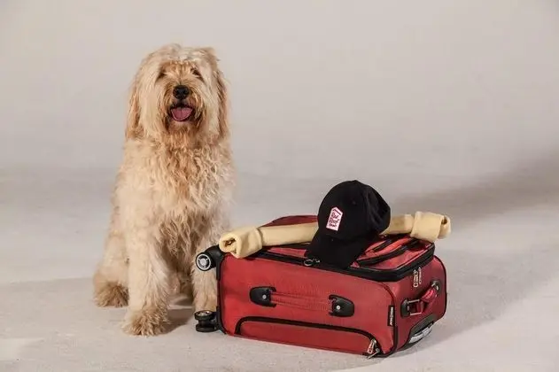 Red Roof Inn Williamsburg