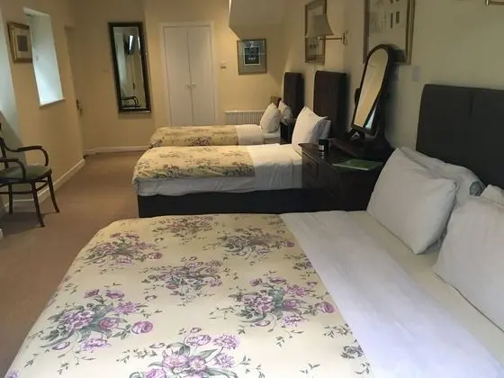 Red Setter Town House B&B - Oda