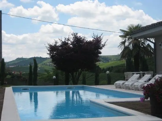Red Wine - Guest House - Havuz