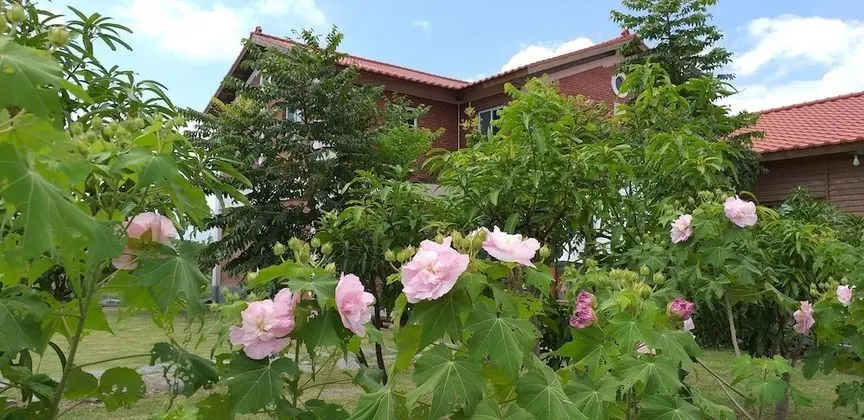 Redbrick house