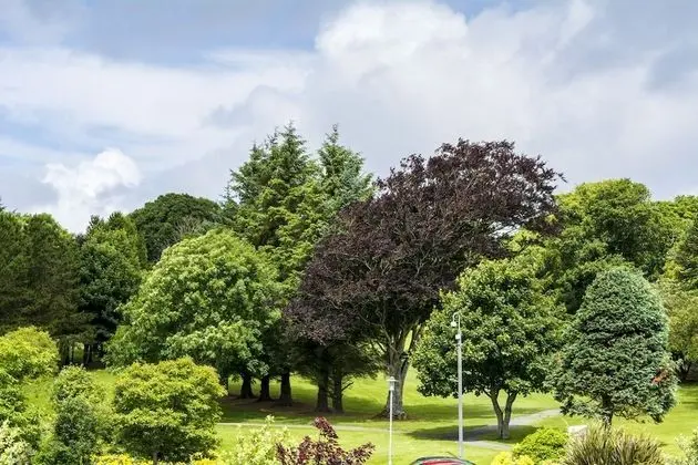 Redcastle Hotel, Golf & Spa - Dış Mekan