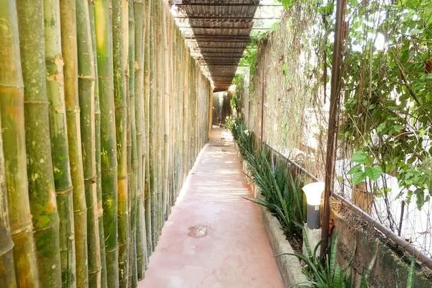 RedDoorz near Maribago Barangay Hall - Dış Mekan