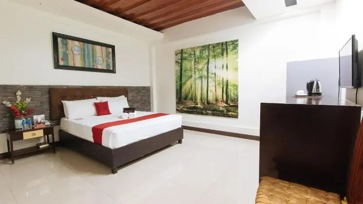 RedDoorz Plus @ Melsol Metro Vigan - Oda