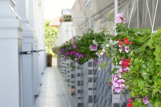 RedDoorz Premium Anh Duc Da Lat Hotel - Dış Mekan