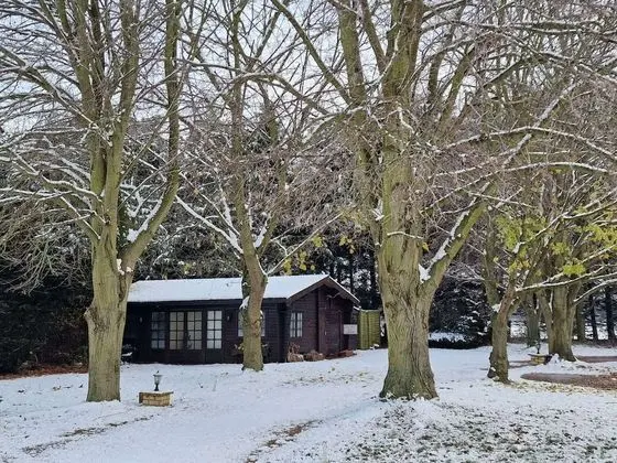 Reed by Paymán Club