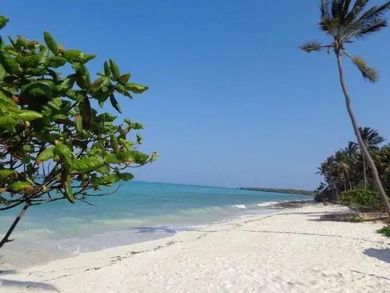 Reef & Beach Resort - Plaj