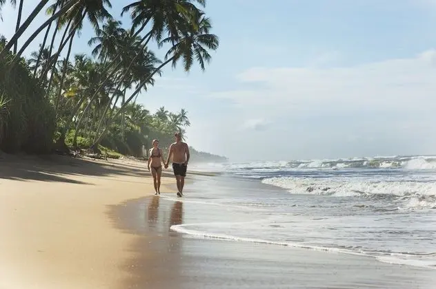 Reef Villa & Spa - Plaj