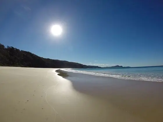 Reflections Holiday Parks Seal Rocks - Plaj