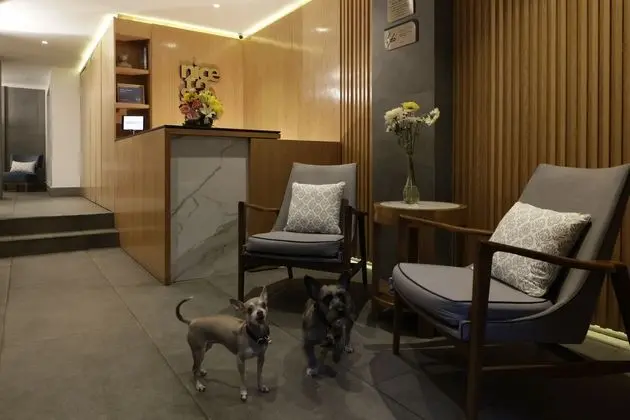 Reforma Guest House - Lobi