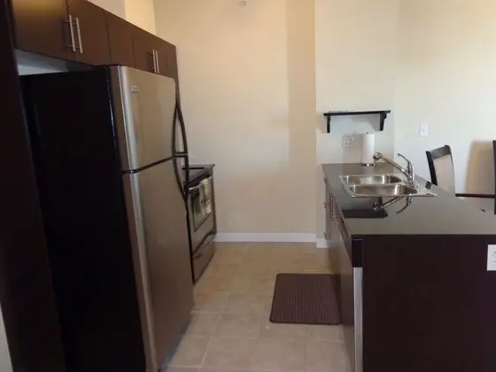 Regal Suites - Riverfront - Mutfak