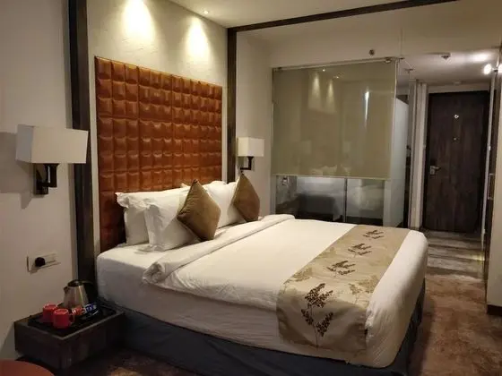 Regenta Central Hotel & Convention Nagpur - Oda