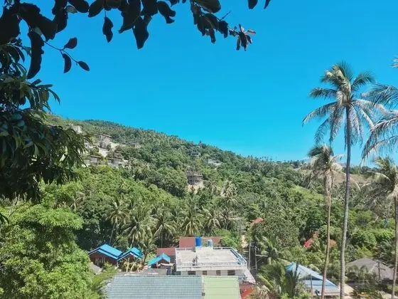 Reggae Village - Dış Mekan